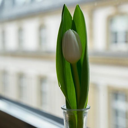 Sankt Andreas Otel Düsseldorf Dış mekan fotoğraf