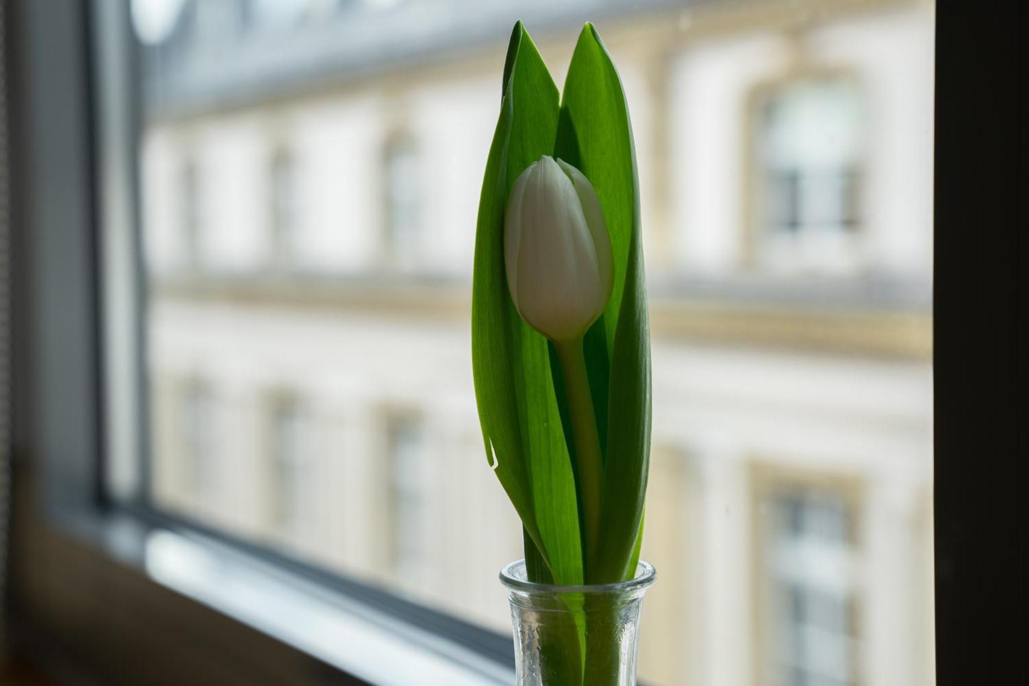 Sankt Andreas Otel Düsseldorf Dış mekan fotoğraf